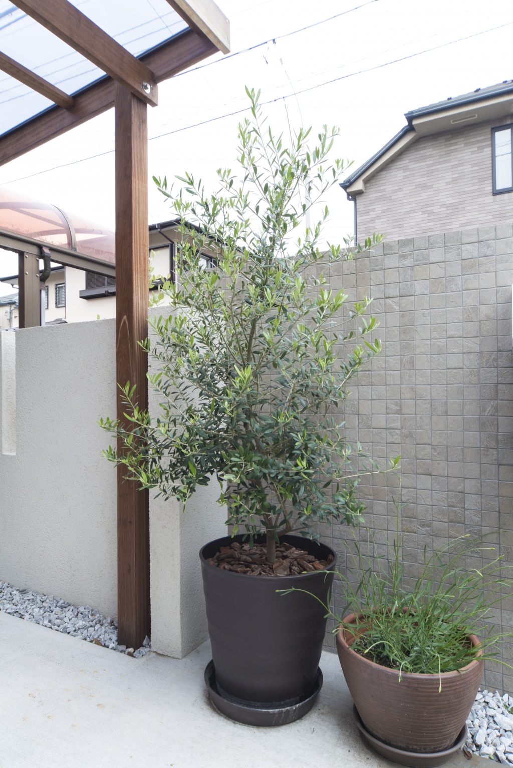 N0188 北欧 Petal Plant Pot 斑点模様 豪華 高品質 植木鉢 室内