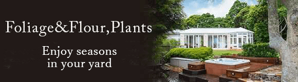 Foliage & Flour, Plants / Enjoy seasons in your yard