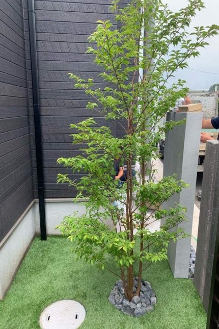 s669x9999_2019_06_20_13_24_45_756_8 s669x9999_2019_06_20_13_24_45_756_81