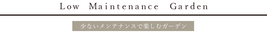 少ないメンテナンスで楽しむガーデン