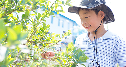 子どもと収穫を楽しむガーデン